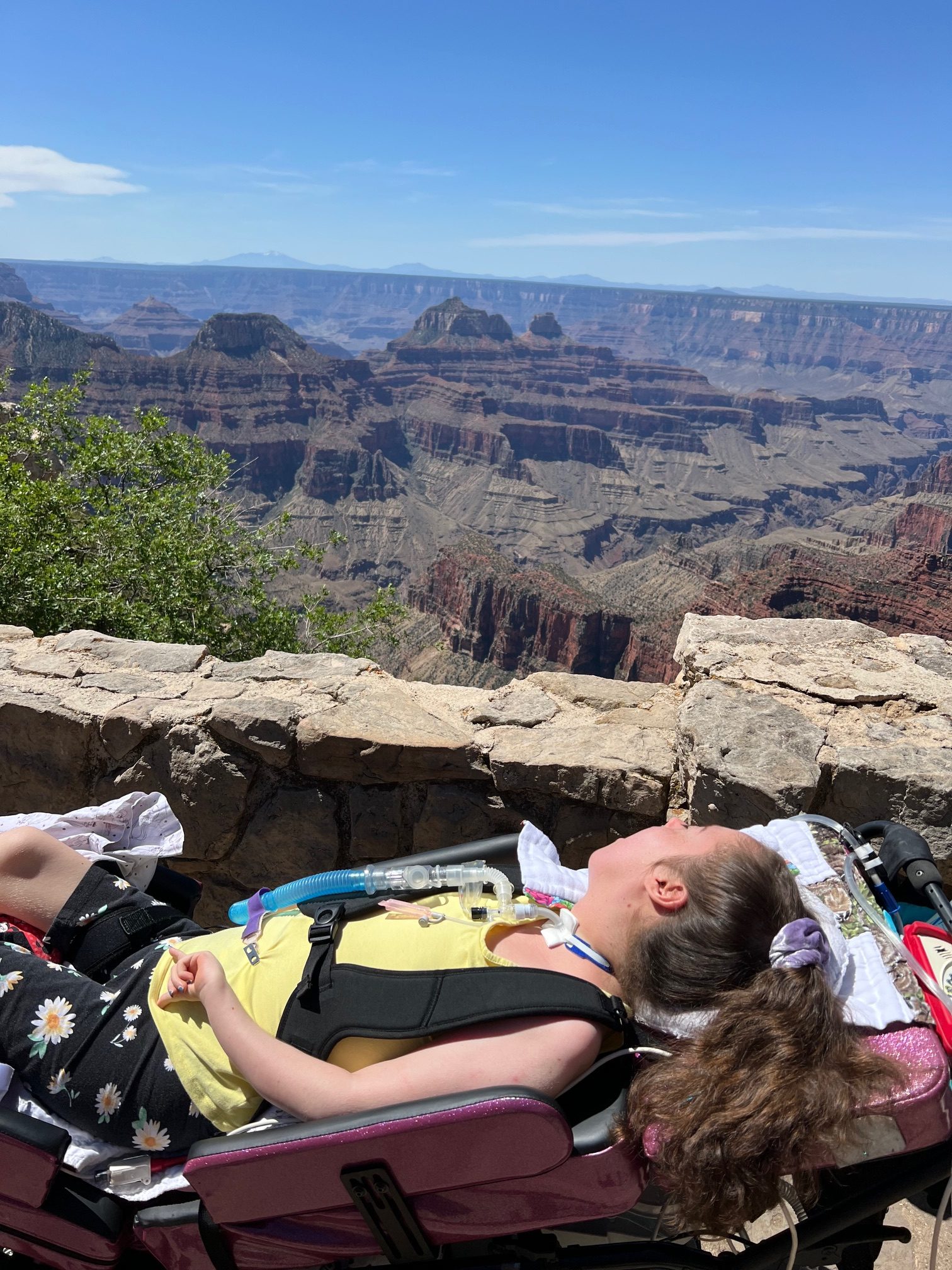 Kennedy, in her wheelchair, looking out across the vast Grand Canyon.